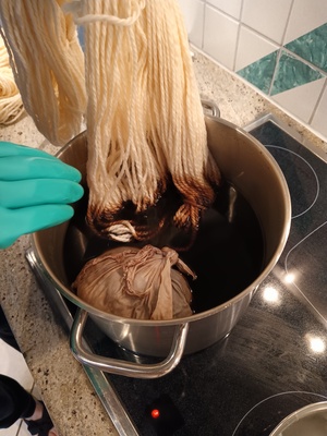 IMG 20230501 073010.jpg