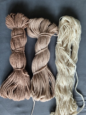 IMG 20230502 124949.jpg