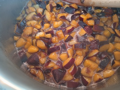 IMG 20230916 164123.jpg