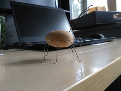 IMG 20200814 182442.jpg